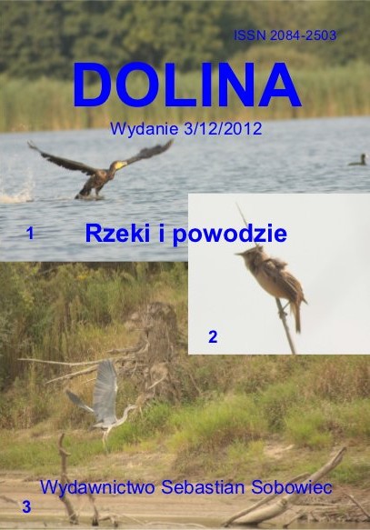 Czaspopismo Dolina nr 3 - Rzeki i powodzie